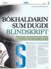 Síða 29