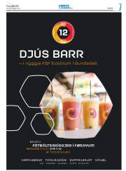 Síða 31