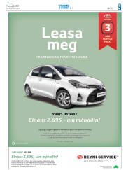 Síða 33