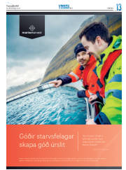 Síða 37