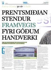 Síða 38