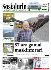 Síða 1