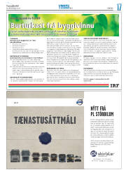 Síða 41