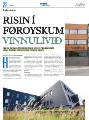 Síða 46