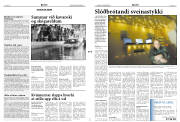 Síða 2