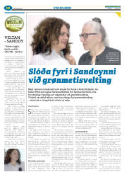 Síða 58
