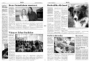Síða 3