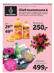 Síða 3