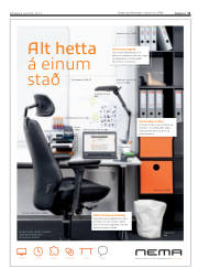 Síða 11
