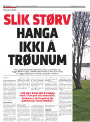 Síða 18