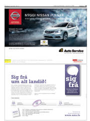 Síða 33