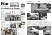 Síða 8