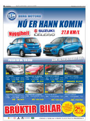 Síða 40