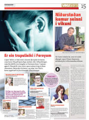 Síða 15