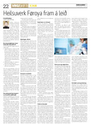Síða 22