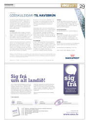 Síða 29