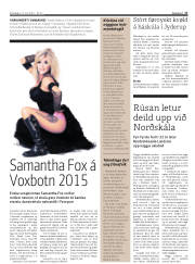 Síða 17