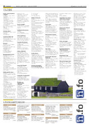 Síða 20