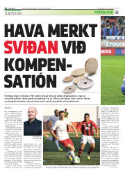 Síða 28