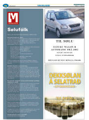 Síða 46