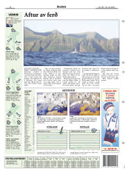 Síða 17