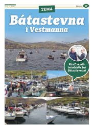 Síða 49