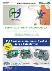 Síða 55