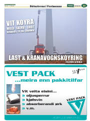 Síða 63