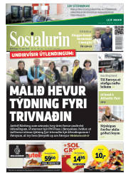 Síða 1