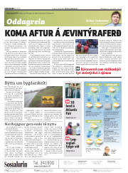 Síða 2