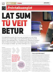 Síða 12