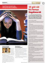 Síða 13