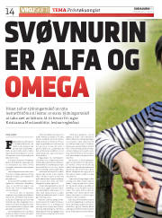 Síða 14