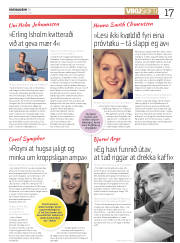 Síða 17