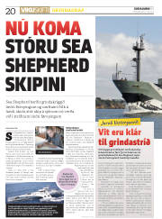 Síða 20