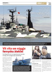 Síða 21
