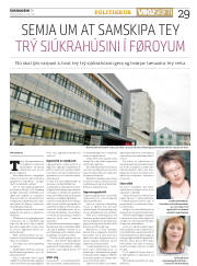 Síða 29
