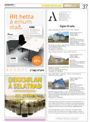 Síða 37