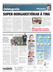 Síða 2