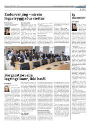 Síða 13