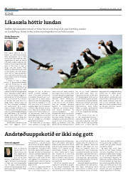 Síða 14