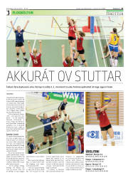 Síða 21