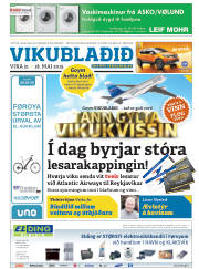 Síða 33