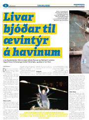 Síða 38