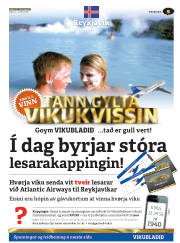 Síða 41