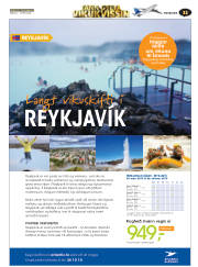 Síða 43