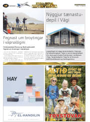 Síða 60