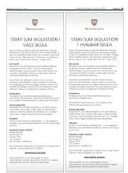 Síða 29