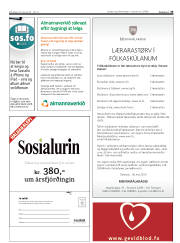 Síða 33
