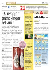 Síða 4